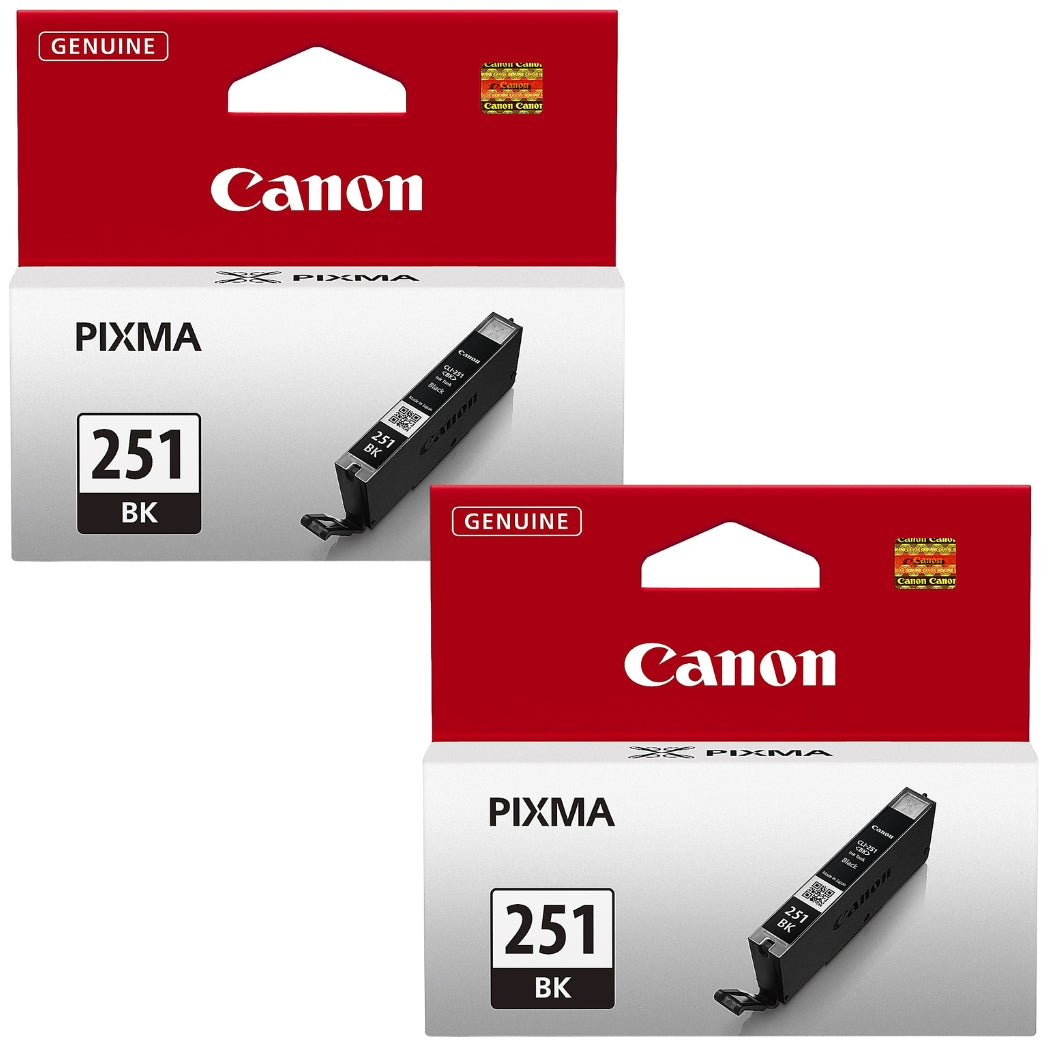 Original Canon CLI-251 Standard Yield Black (2-Pack) Ink Cartridge, 6512B005-0