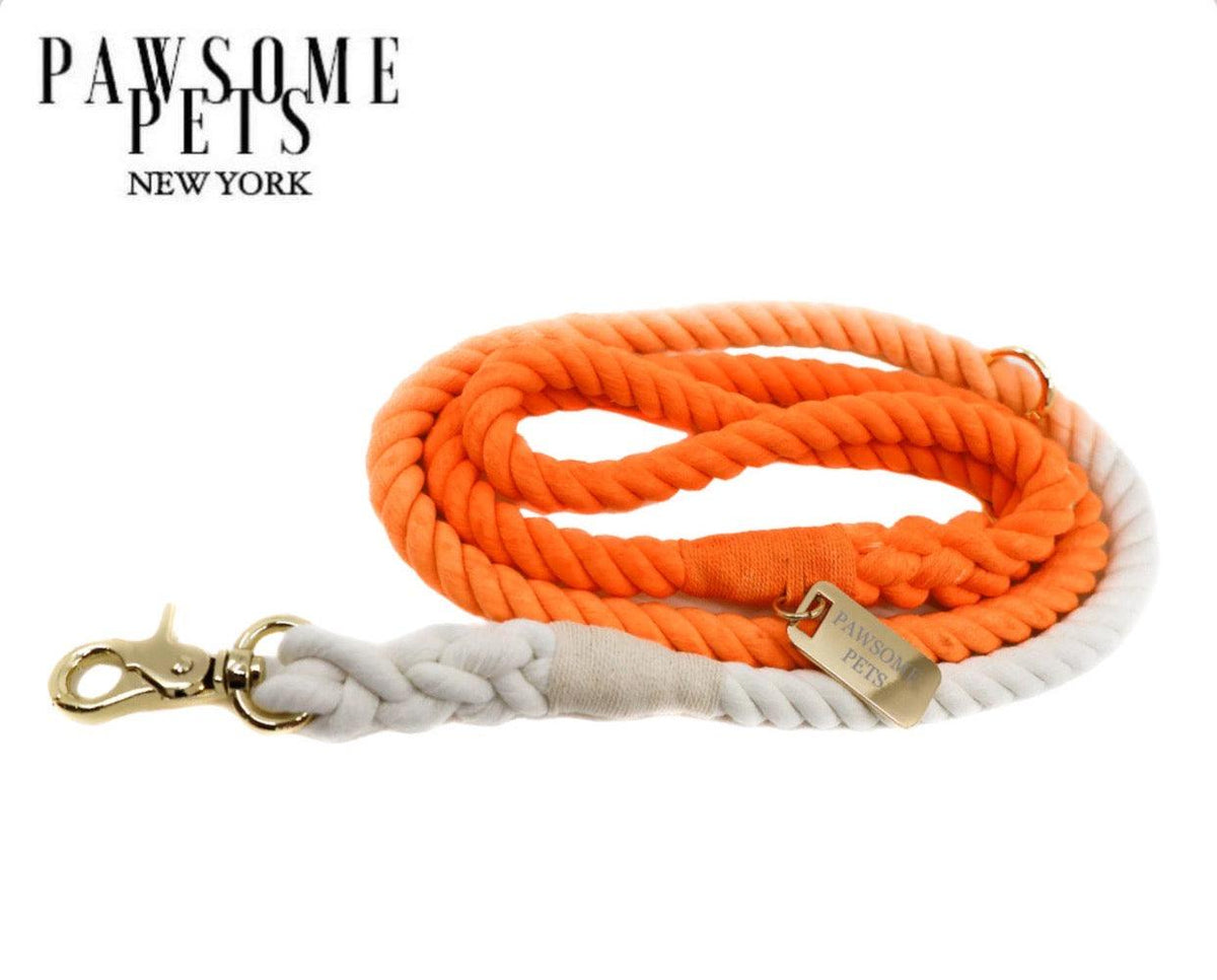 ROPE LEASH - SANTA MONICA SUNSET-0