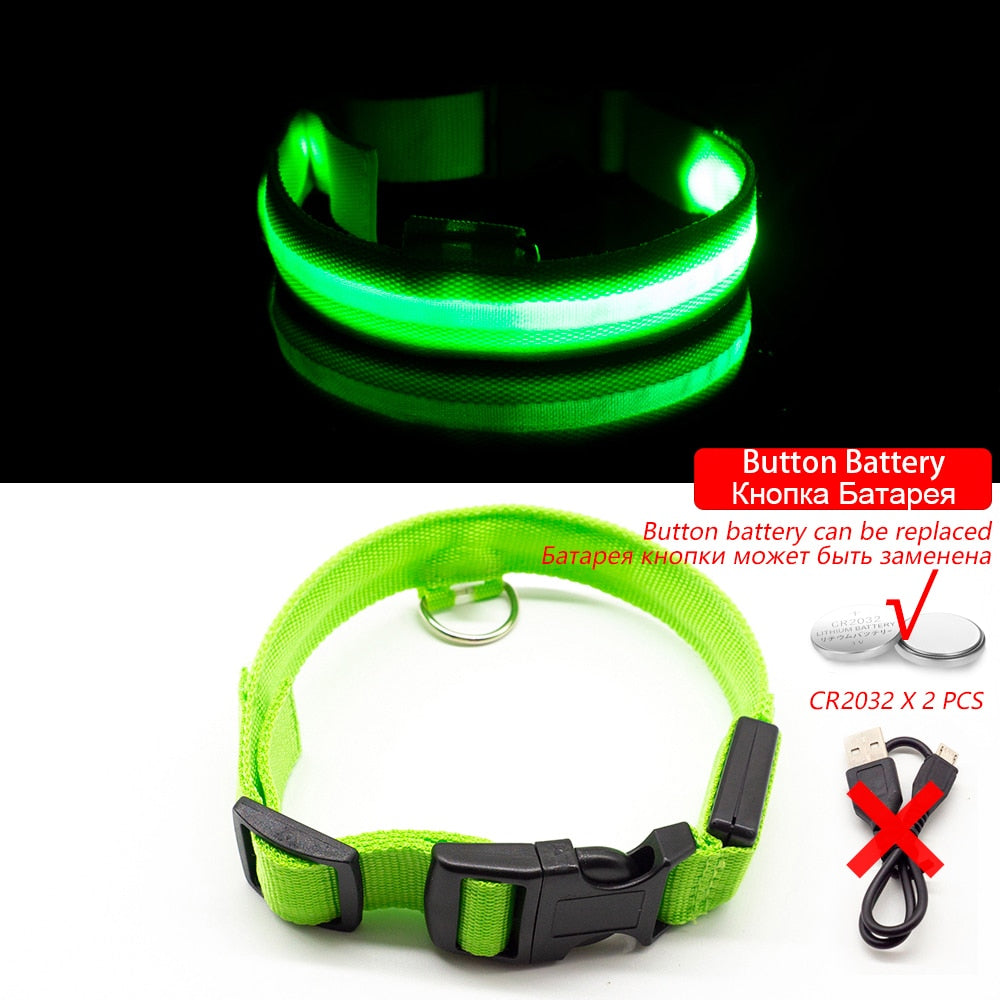Led Dog Collar For Dog — 10807494082899