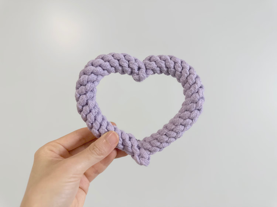 Sweetheart Macarons & Bear Hugs Collection Dog Toys