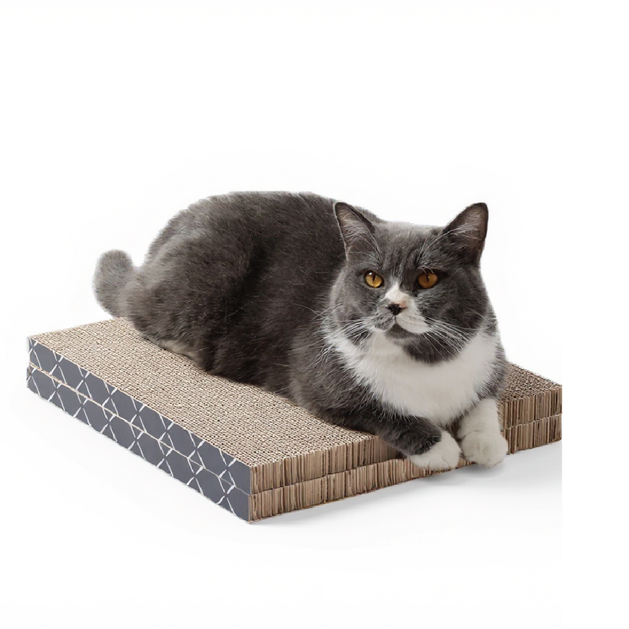 Hide & Scratch 2PC Scratch Pad Refills (Case Pack of 14)
