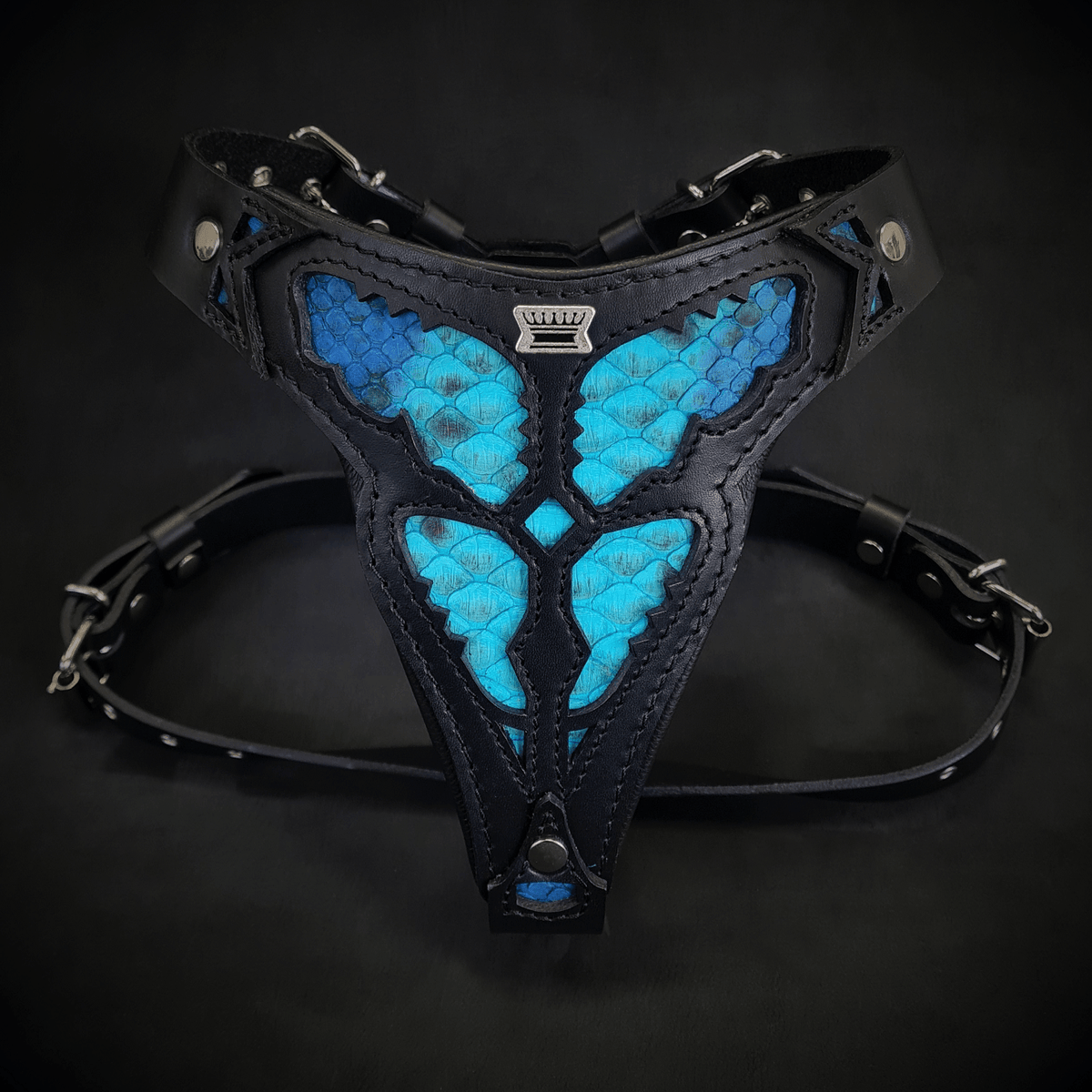 The ''Morelia Python'' harness Medium Size-0