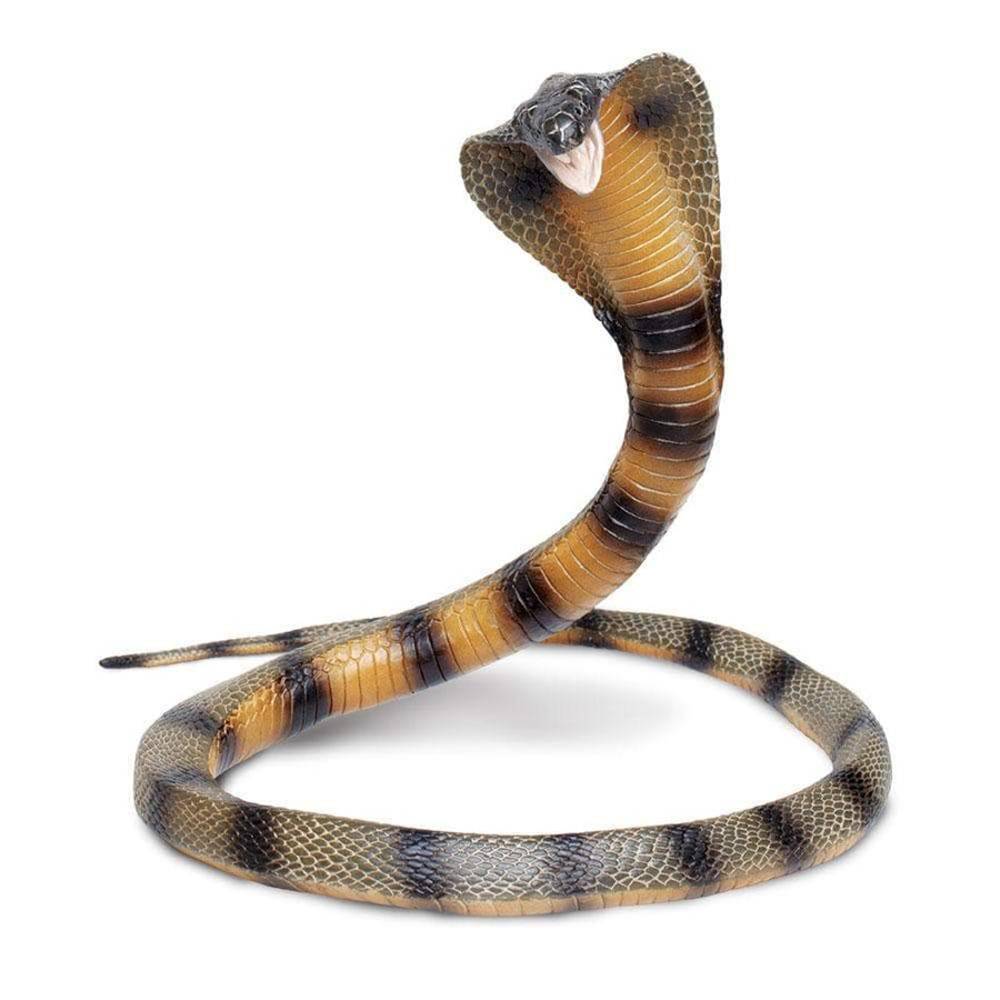 Cobra Toy