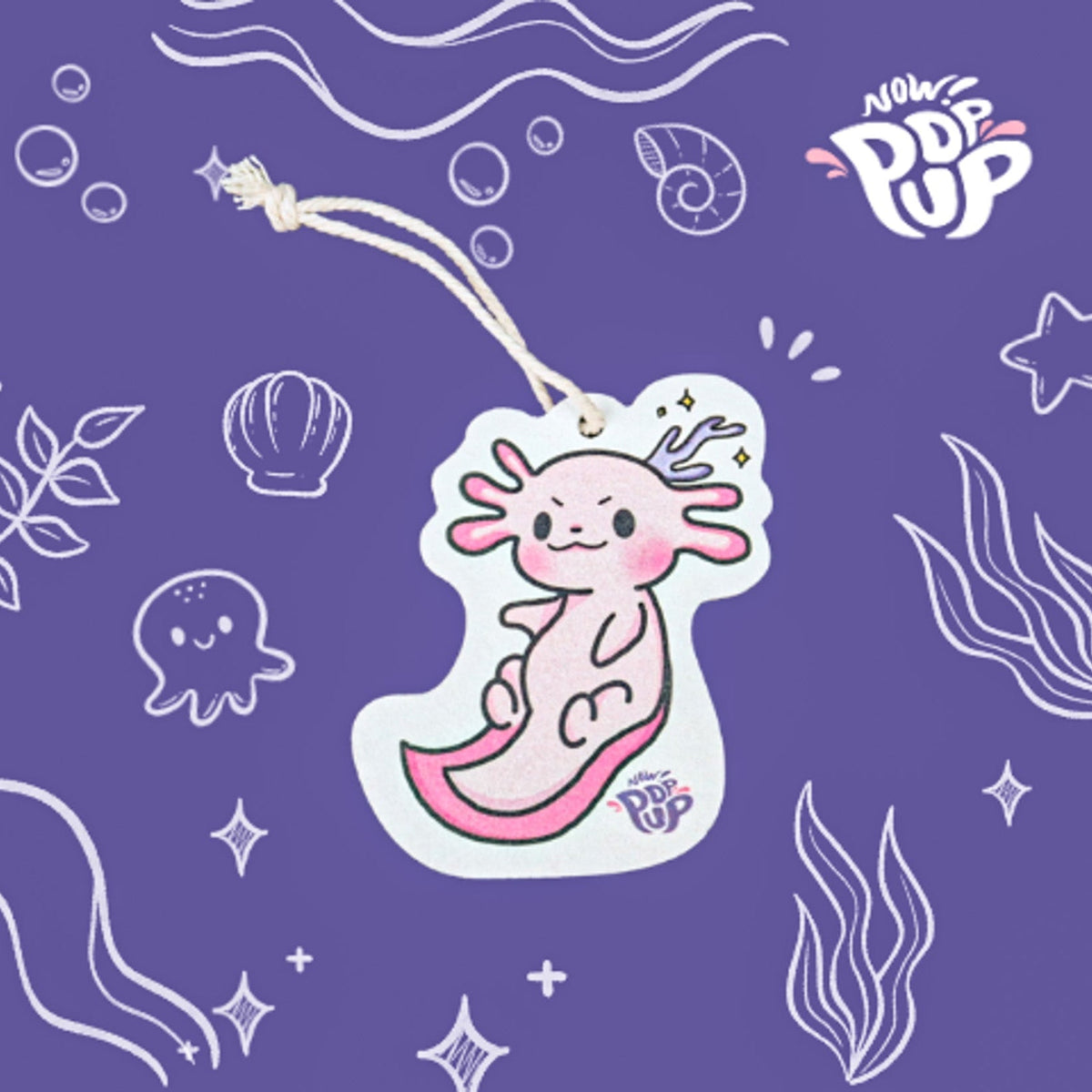 Adult Axolotl – Pop Up Sponge-0