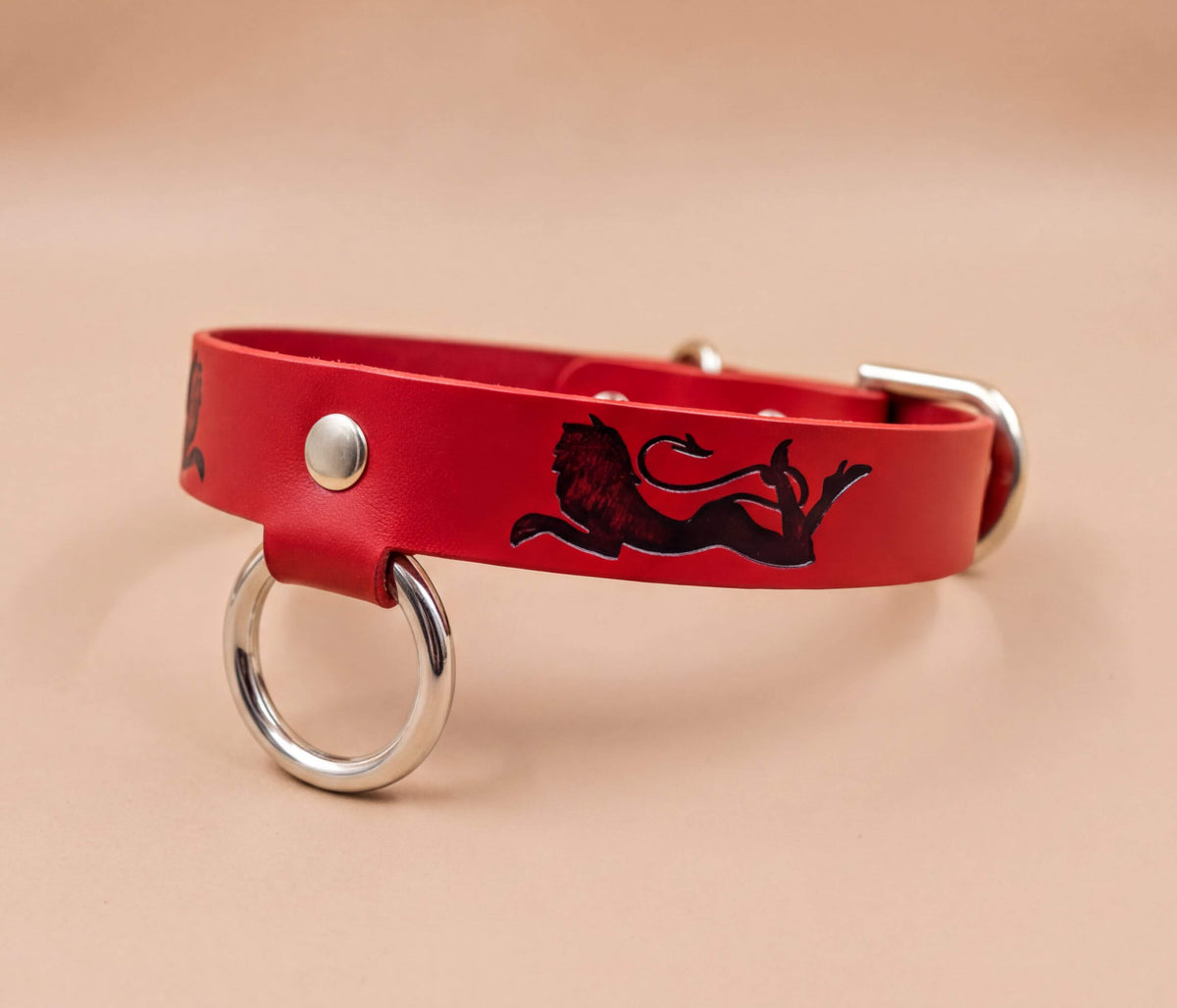 Devil Girl BDSM Collar Design Unique Kinky BDSM Day Collar-0