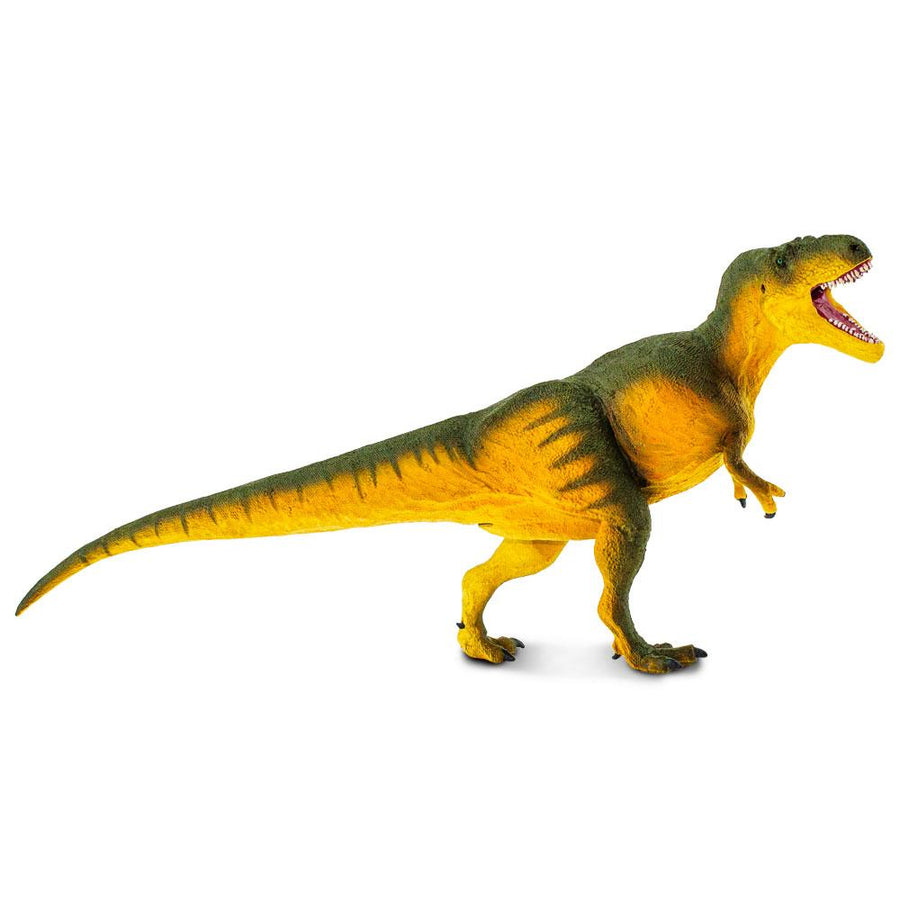 Daspletosaurus Toy
