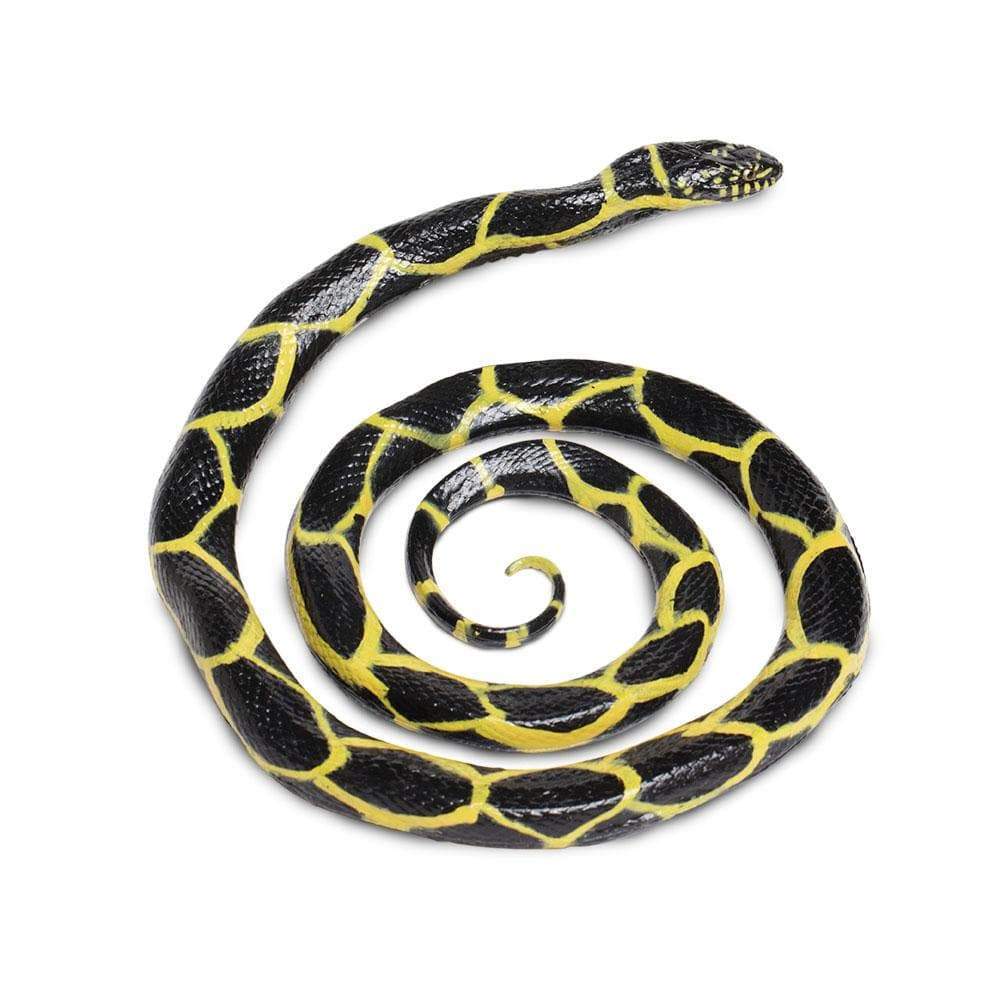 Chain Kingsnake Toy-0