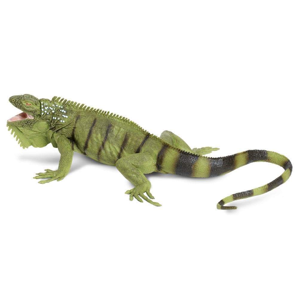 Iguana Toy-0