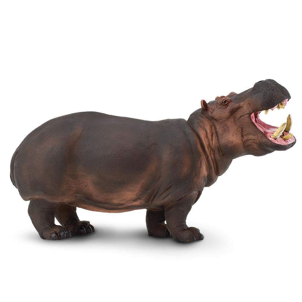 Hippopotamus Toy-0