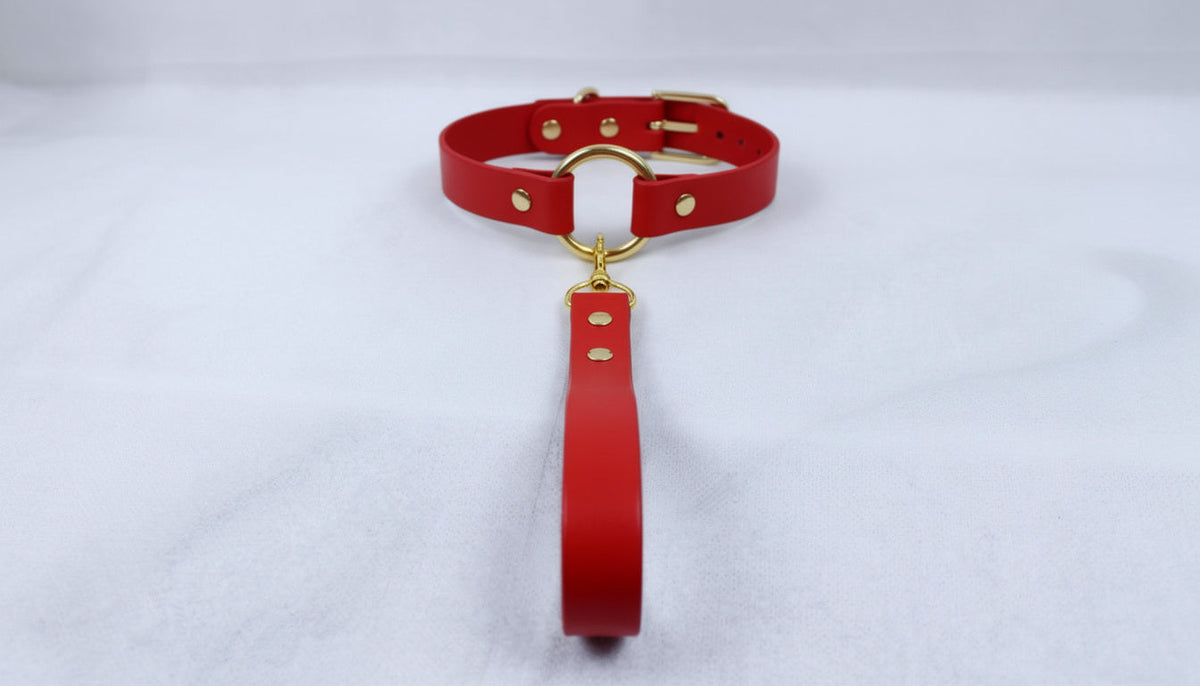 Personalize your Choker and Leash-0