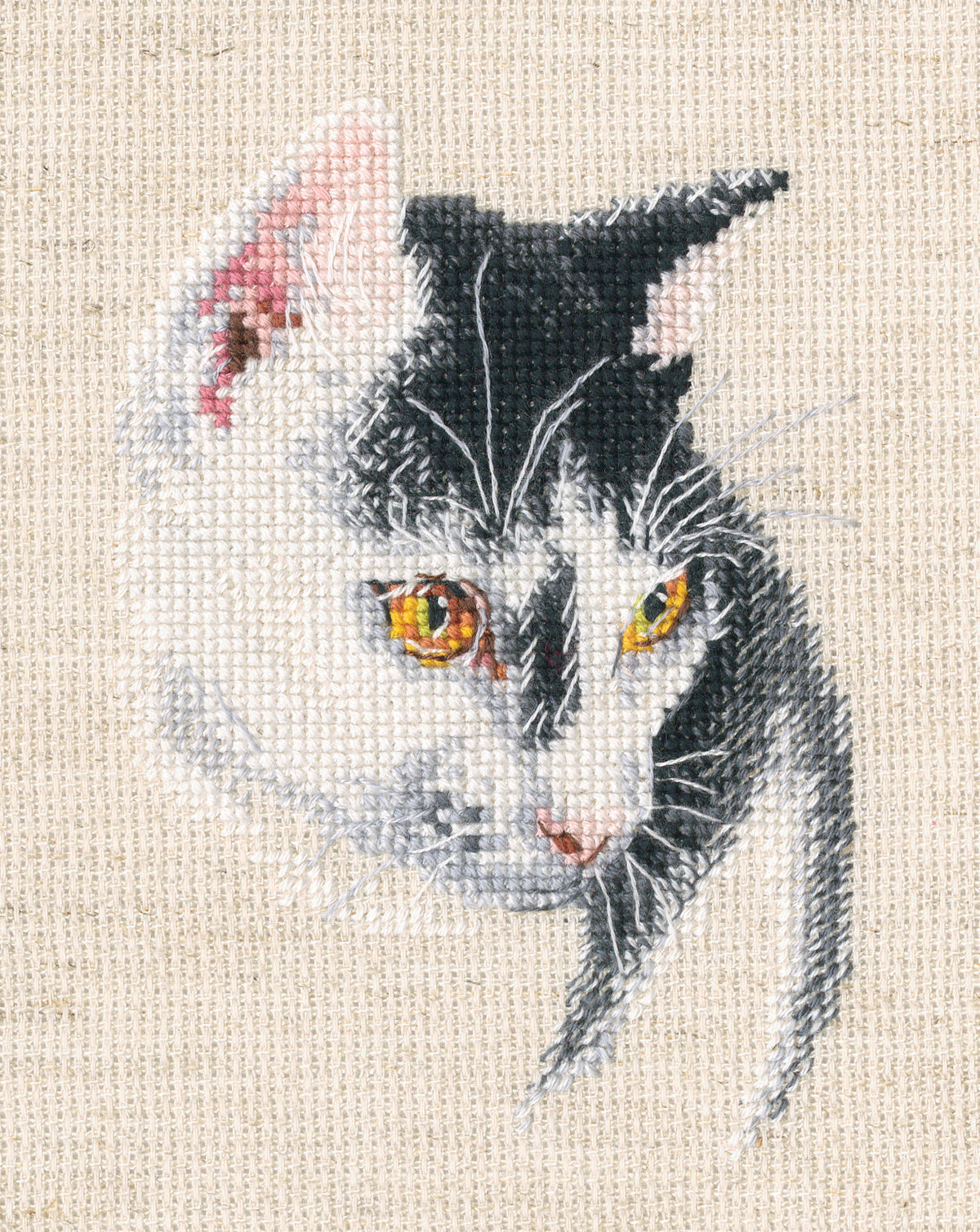 Fascinating C423 Counted Cross Stitch Kit-0