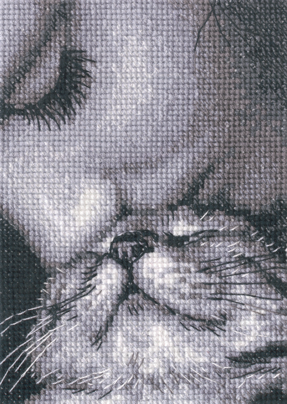 Admirers C425 Counted Cross Stitch Kit-0