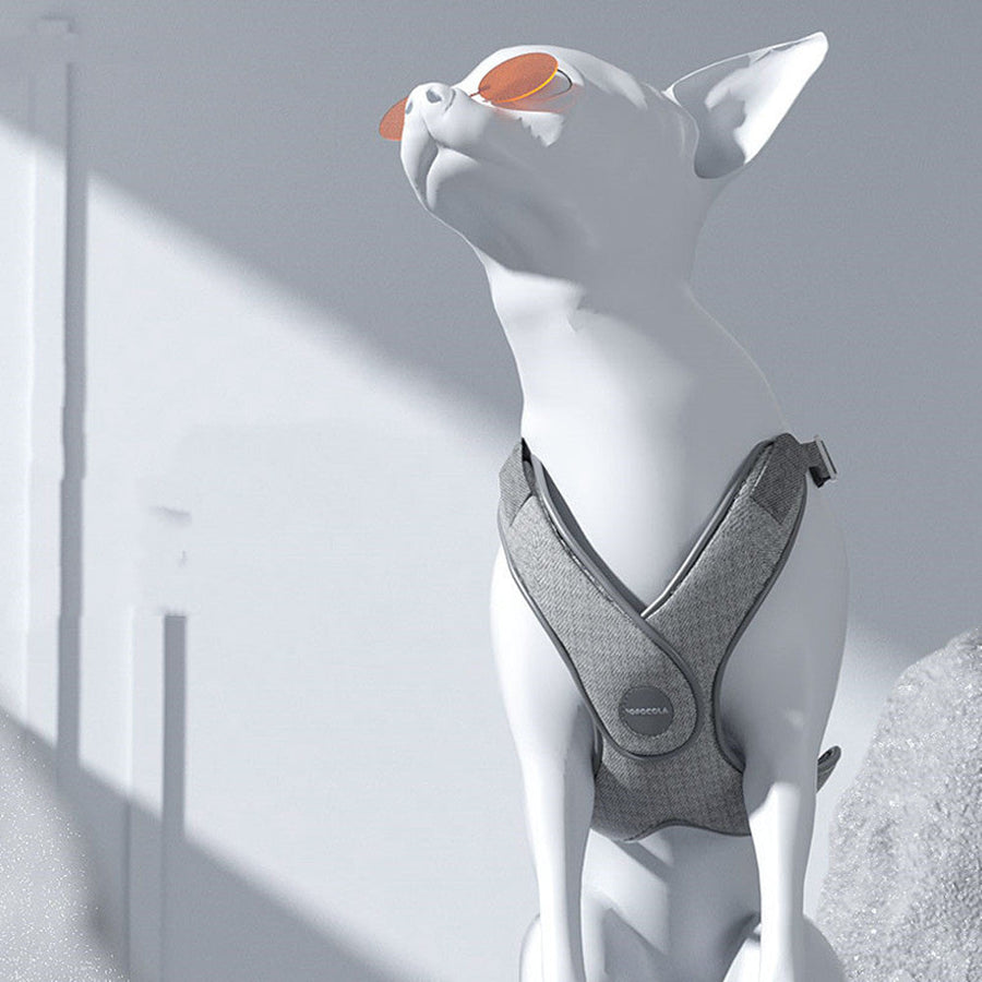 Dog Chest Strap and Leash Set