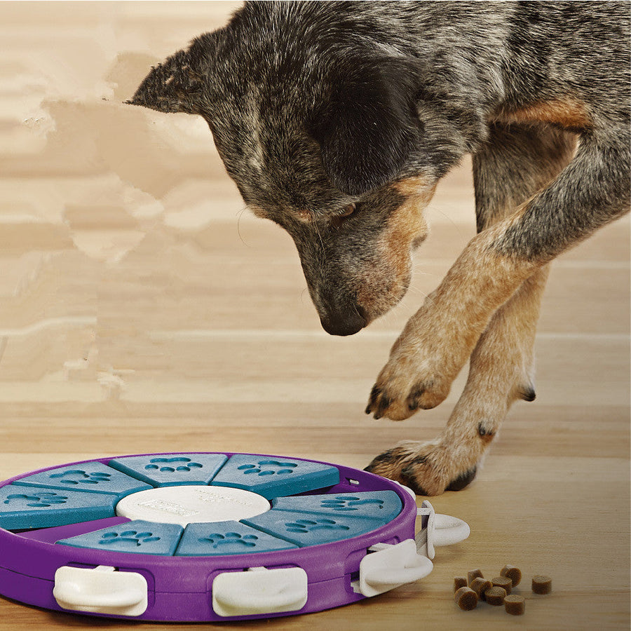 Engaging Dog Learning Toys