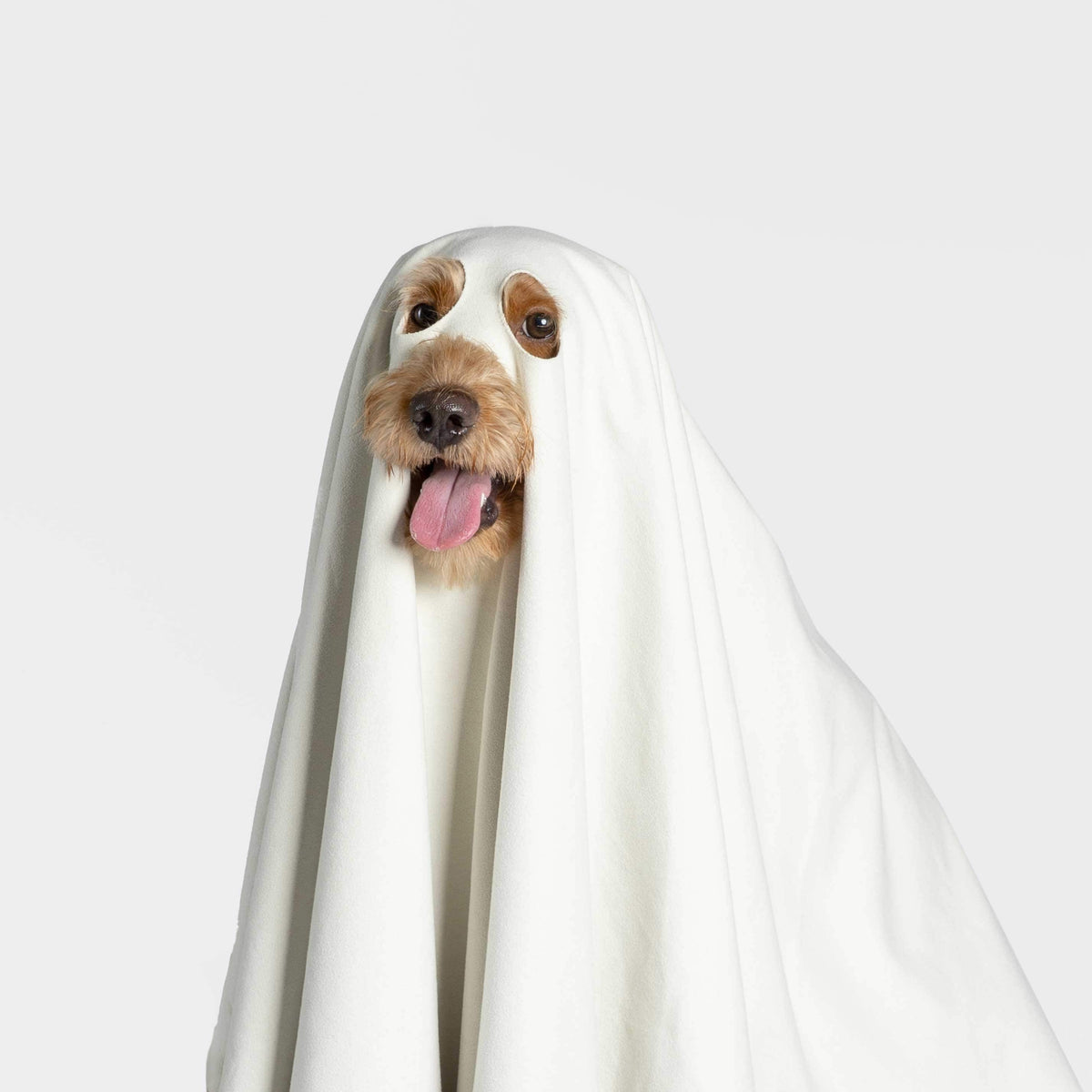 Ghost Dog Quick Dry Towel-0