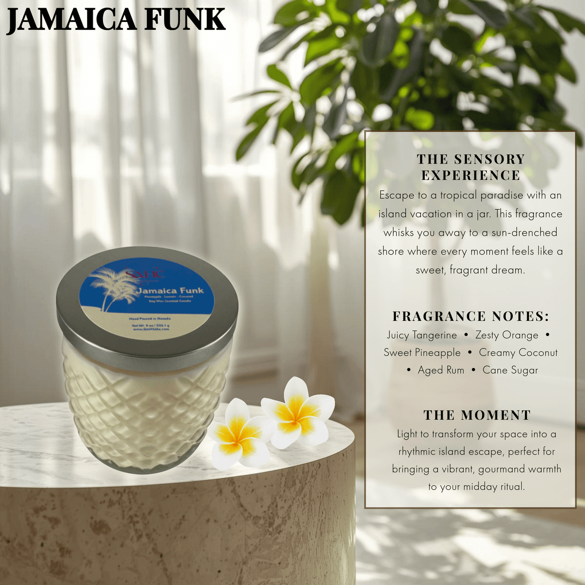 Jamaica Funk | Premium Soy Candle-0