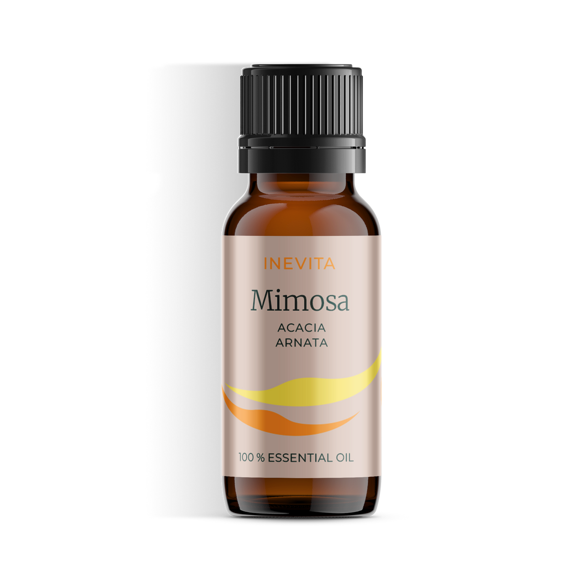 Mimosa-0
