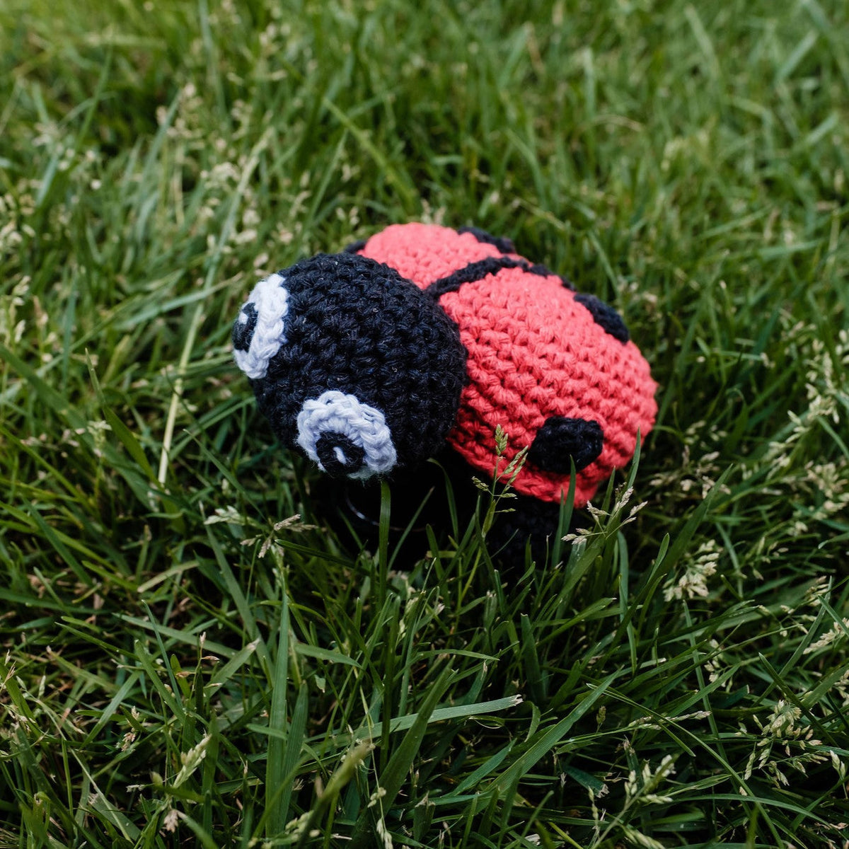 DIY Crochet Kit Ladybird Daisy PAK355-0