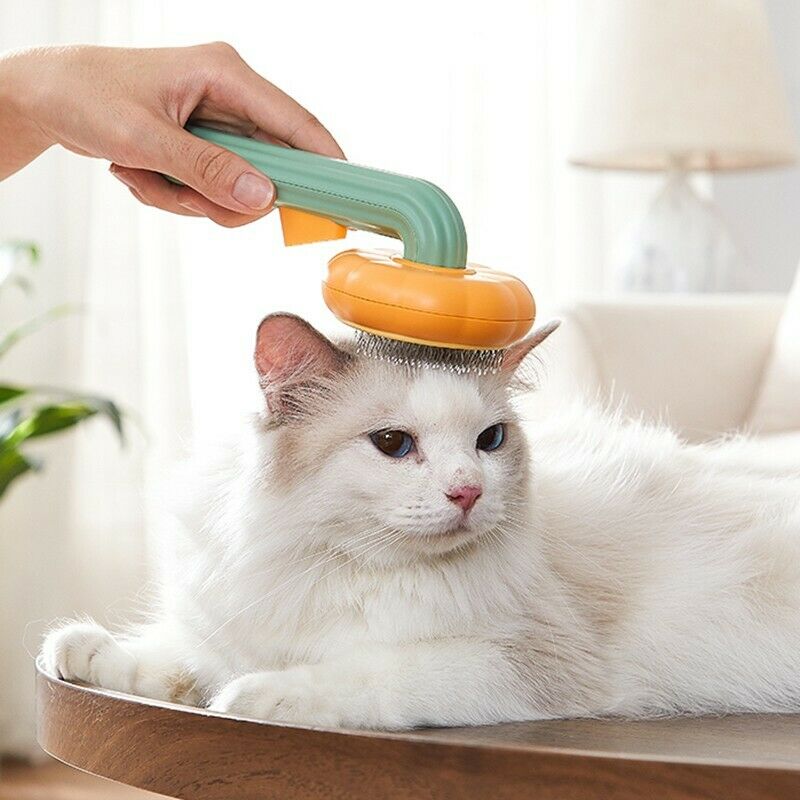 Pumpkin Design Needle Comb for Dog and Cat Grooming