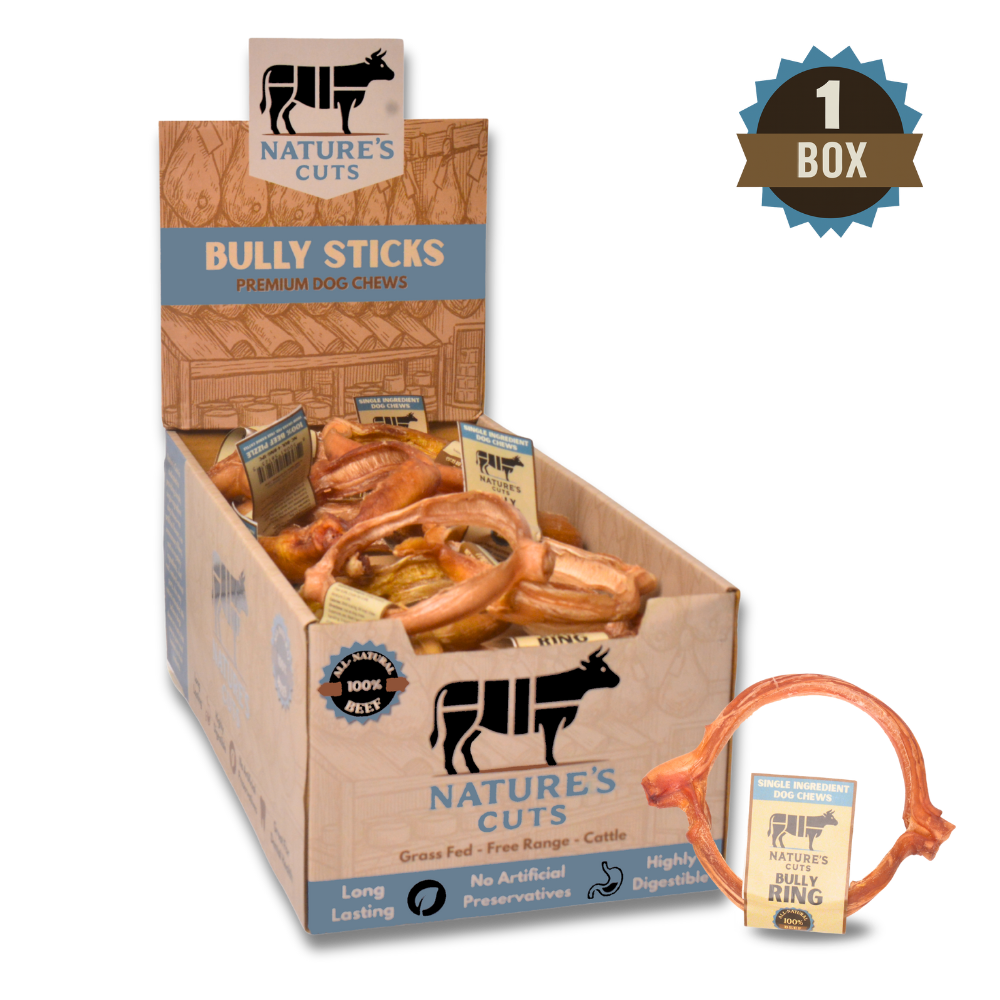 4" Bully Rings Display Box-5