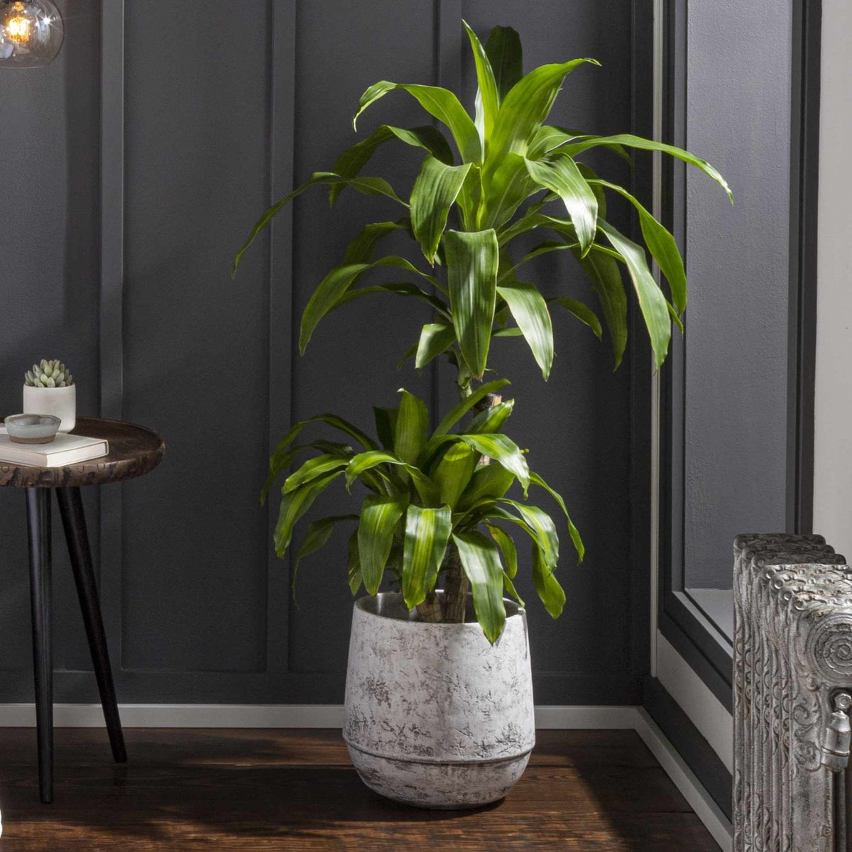 Janamuato White Geometric Cement Outdoor Planter-0
