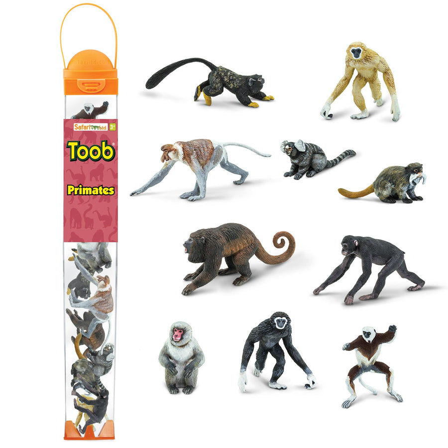 Primates TOOB®