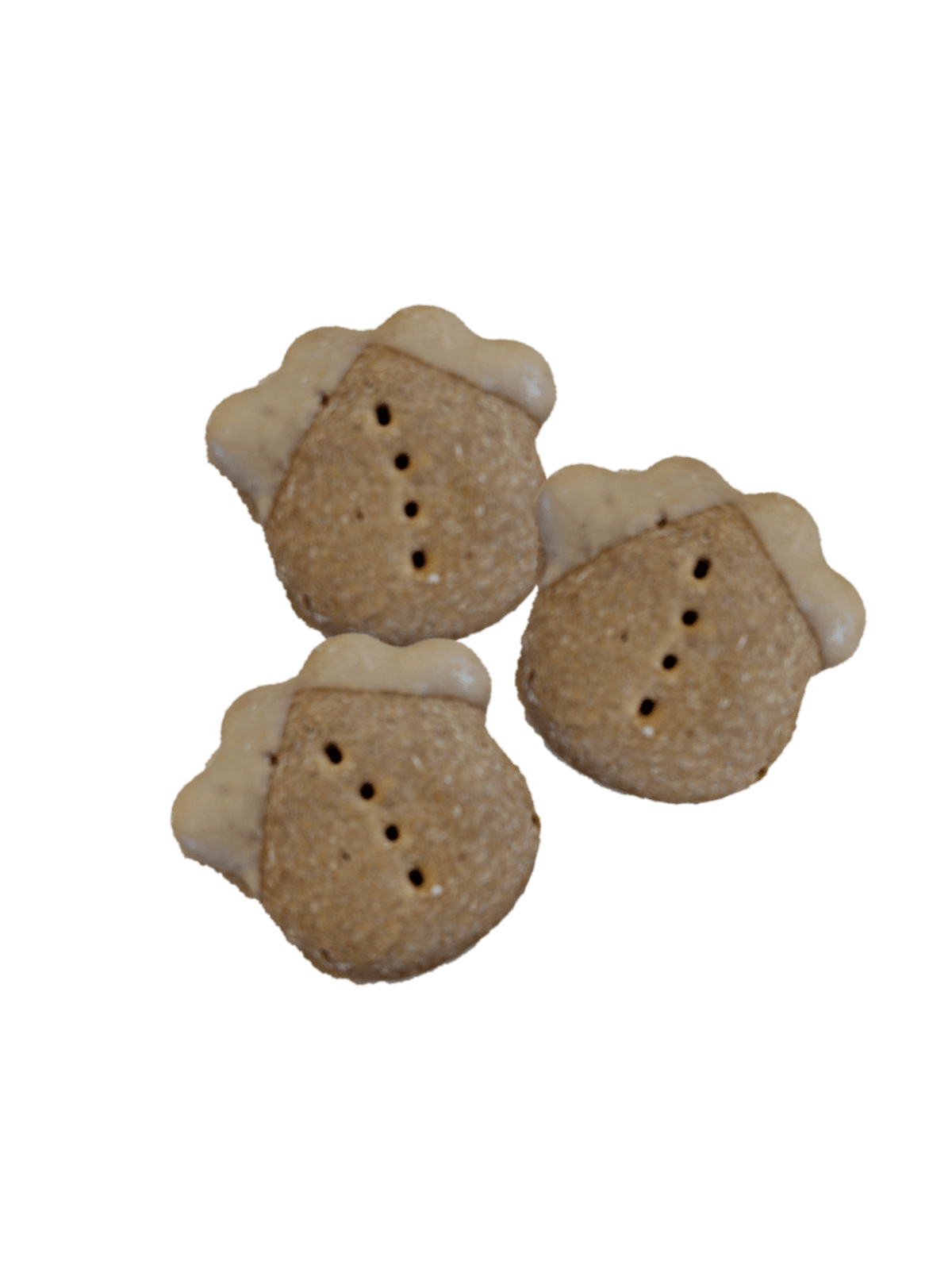 Mini PB Paws Treat (Set of 5)-0
