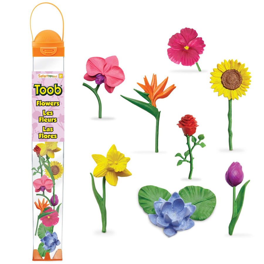 Flower  TOOB®
