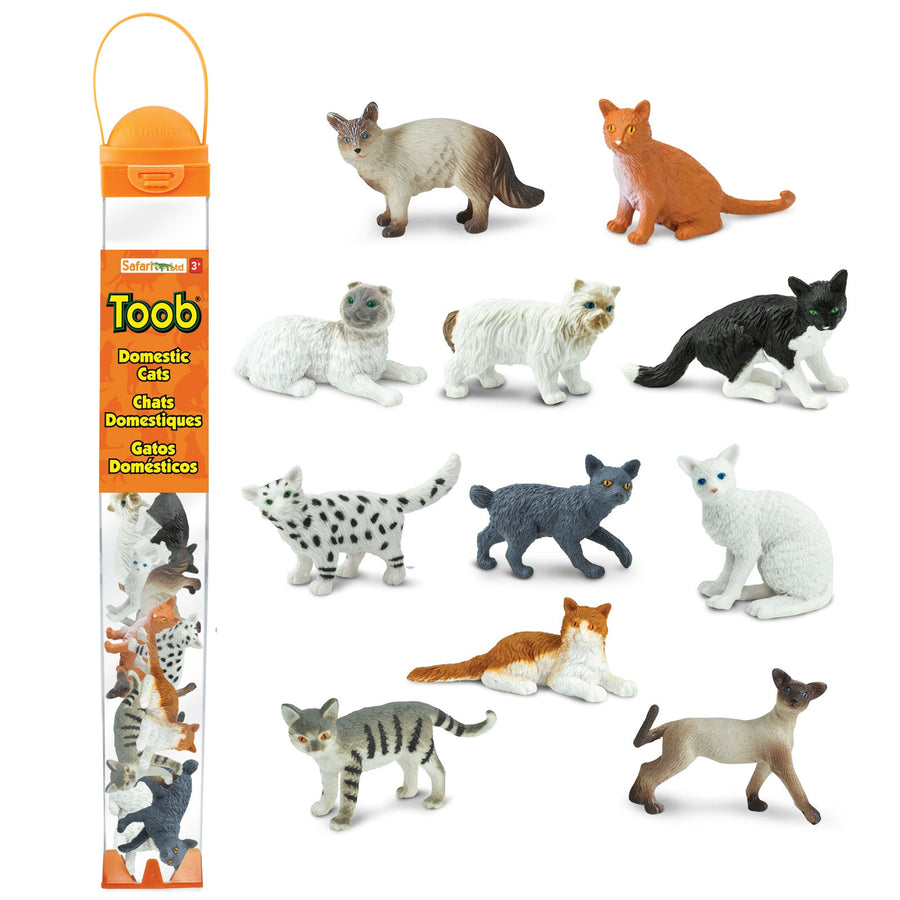Domestic Cats TOOB®