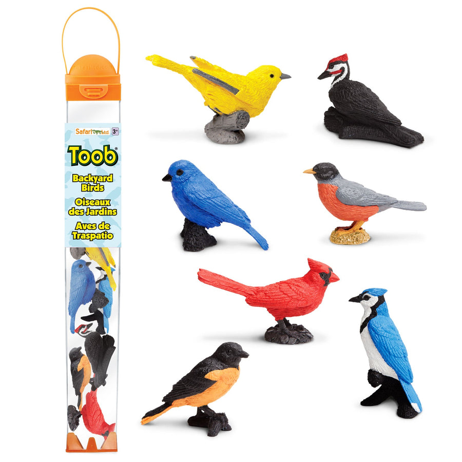 Backyard Birds TOOB®
