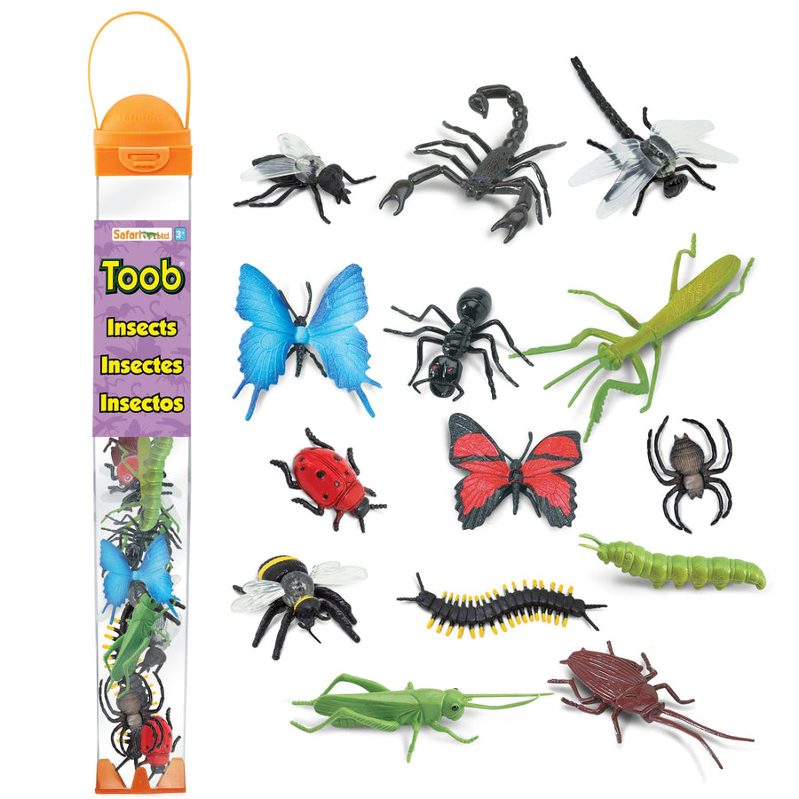Insects TOOB®