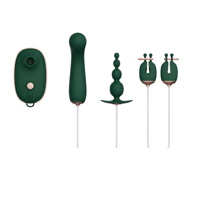 QINGNAN Quartet Sex Toy Kit for Clit, G-Spot, Anal & Nipples-0