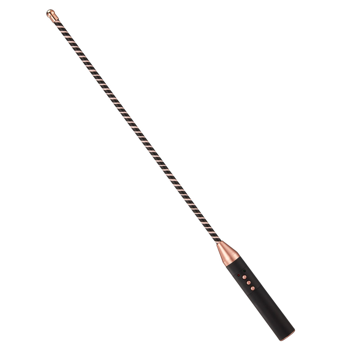 Roomfun Electric Shock BDSM Cane-0