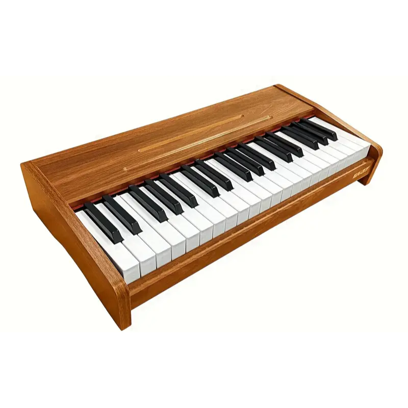 Electronic Keyboard Piano for Beginner — 10811155972435