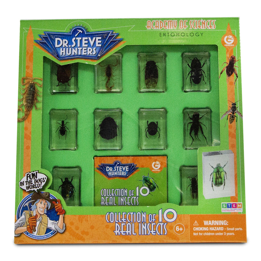 Dr. Steve Hunters Bug World Collection - 10 Real Insects Toy Set